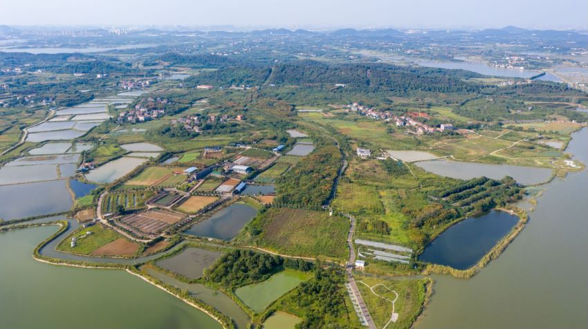 湖北土壤改良报价_酸性土壤改良的主要方案_武汉钎亿香园生态农业有限公司