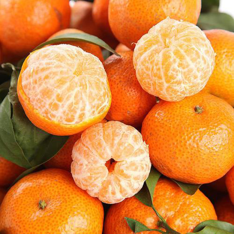 香甜的柑橘供应_柑橘购买_隆阳区虹佑农产品种植专业合作社运营