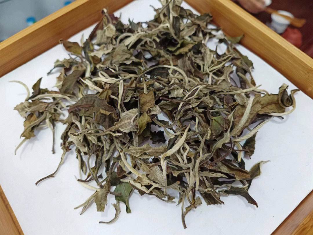 让人放心的白茶销售_品质白茶官网_墨江坝溜林峰茶厂