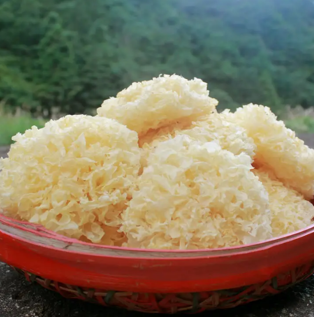 探寻四川风情，品味本地特色美食大