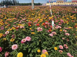 1637993193155435.png 图片.png