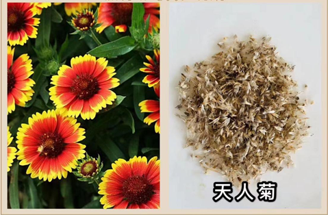 圖片.png