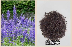 1637998532573388.png 图片.png