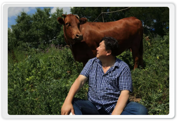 1593517424622098.png image.png