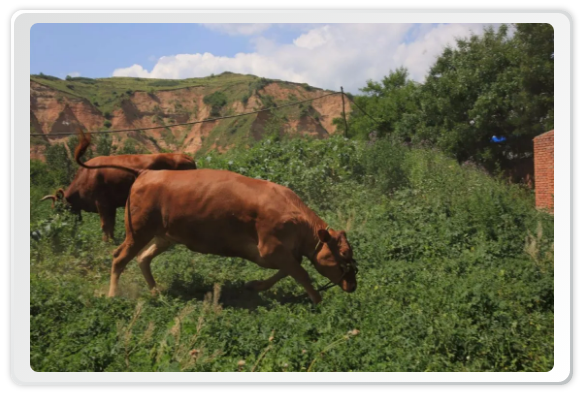 1593517445340216.png image.png