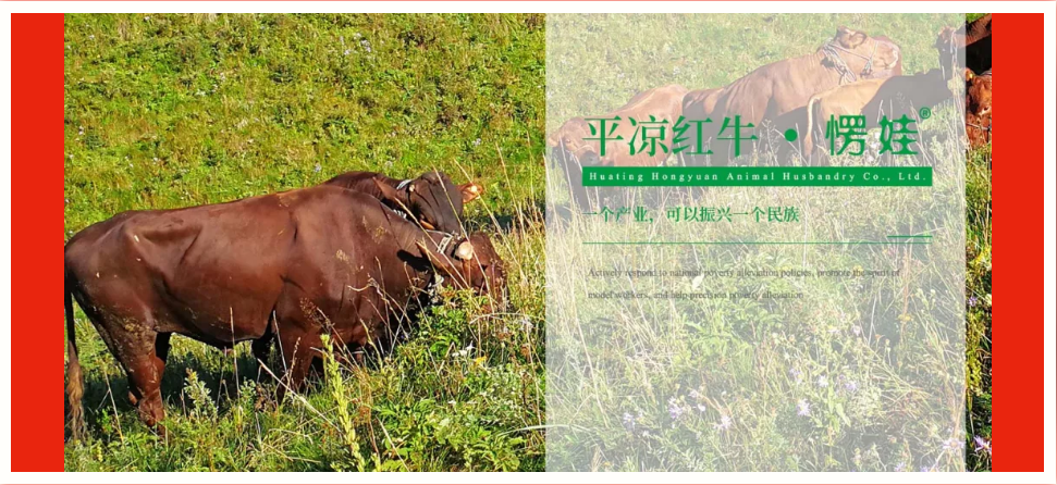 1597193011594332.png image.png