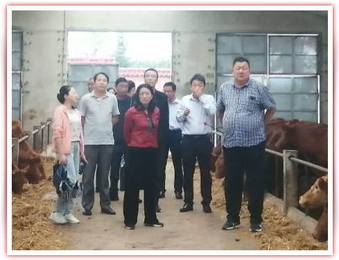 1598595237526706.png image.png