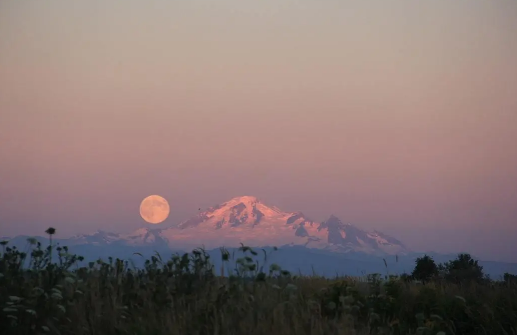 1606719072565350.png image.png