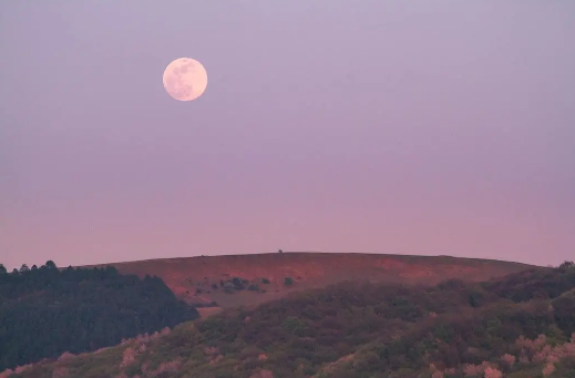 1606719109824618.png image.png