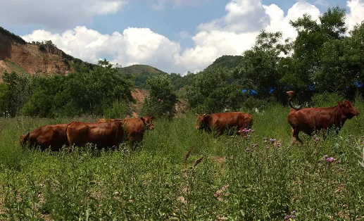 1606719139536763.png image.png