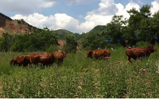 1606719953241055.png image.png