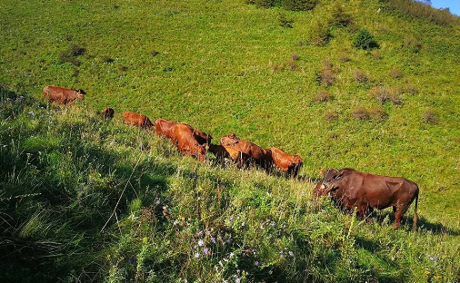 1606719966328387.png image.png