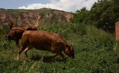 1606719979415446.png image.png