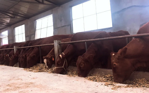 1606719992677424.png image.png