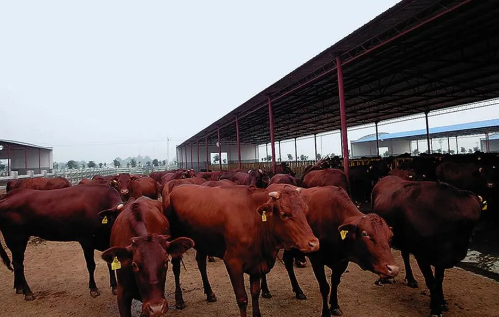 1606720007861045.png image.png