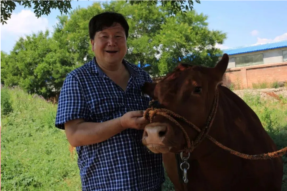 1618992466962077.png image.png