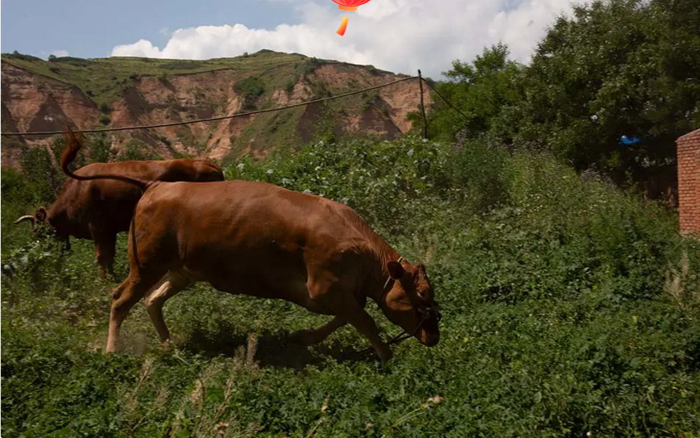 1618992602389751.png image.png