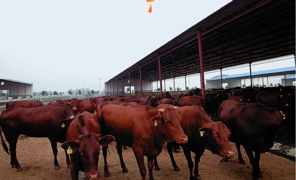 1618992703913222.png image.png