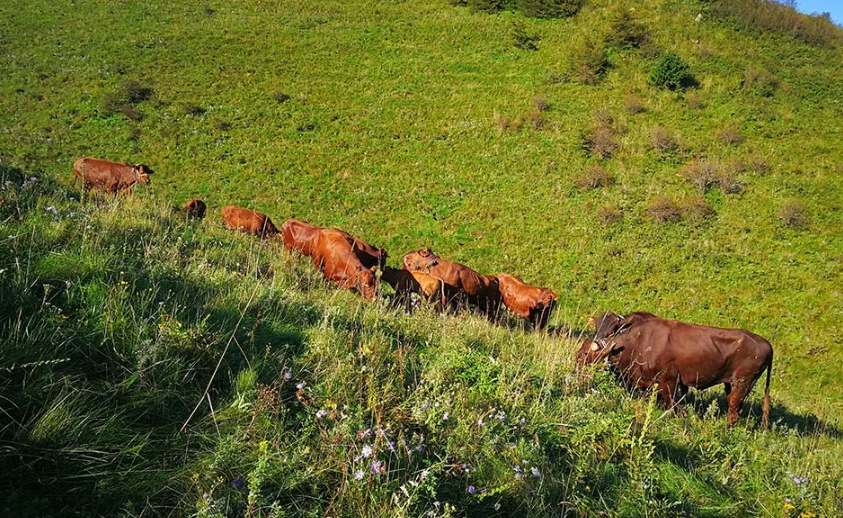 1634284658633838.png image.png