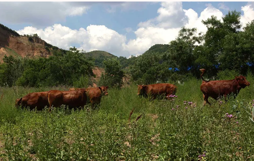 1634284678996830.png image.png