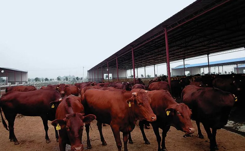 1634284717850775.png image.png