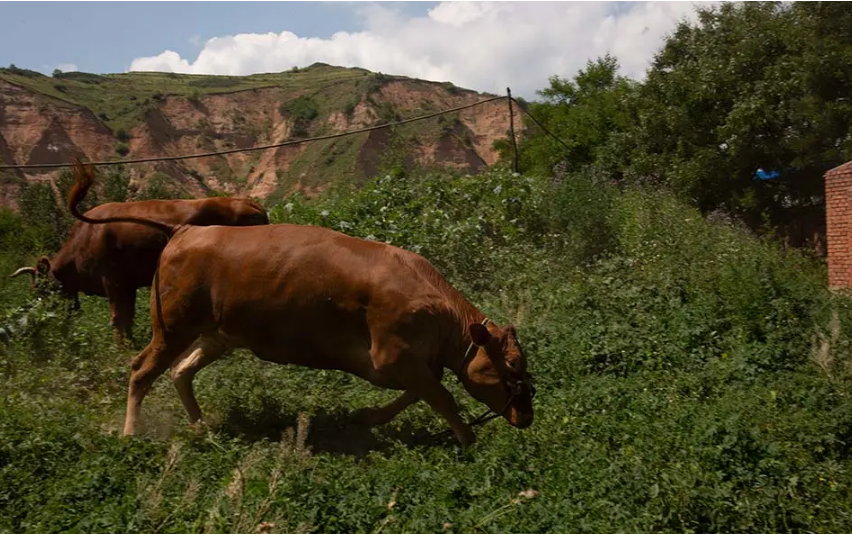 1634284739536639.png image.png