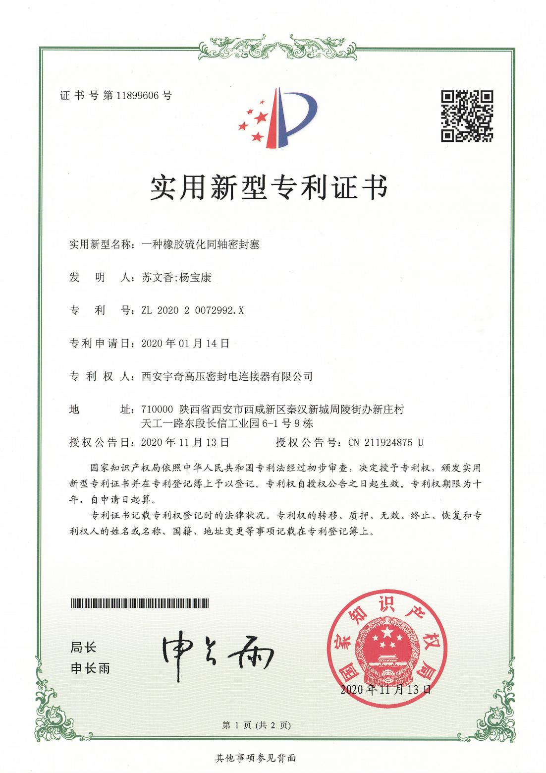 2020一种橡胶硫化同轴密封塞