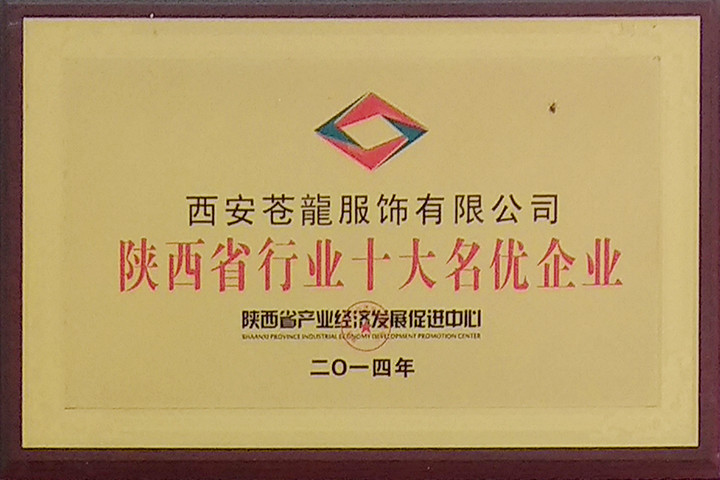 陜西行業(yè)十大名優(yōu)企業(yè).jpg