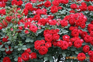 3e99dbb45da5f2287a42d1c3b898003b.jpg