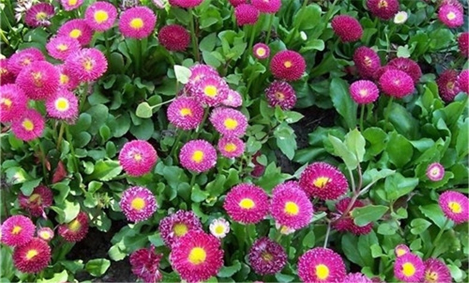c940055a78fd3dac5a8ab9458027f4d2.jpg
