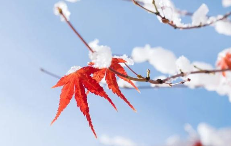 【天水三通醫(yī)療科技有限公司】分享：入冬后，需要注意的**要點(diǎn)