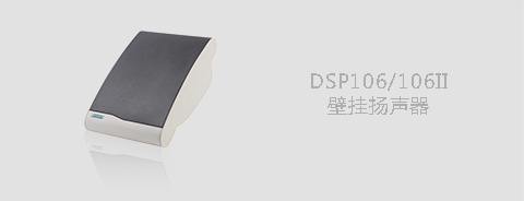 DSPPA壁挂音箱106