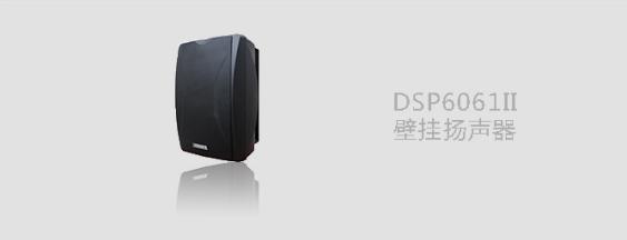 DSPPA壁挂音箱6062 6063