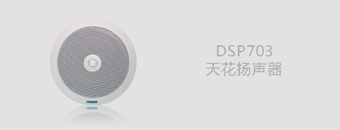 DSPPA吸顶喇叭703