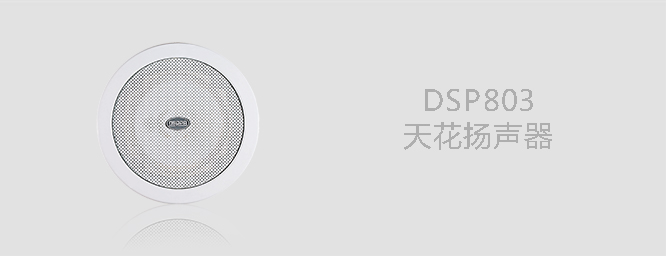 DSPPA吸顶喇叭803