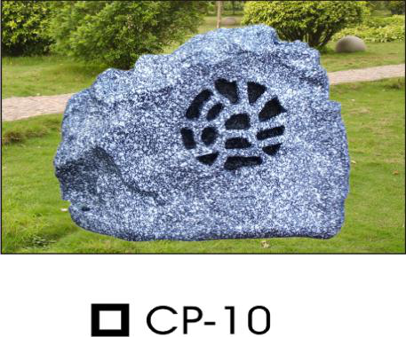 CP-10.png