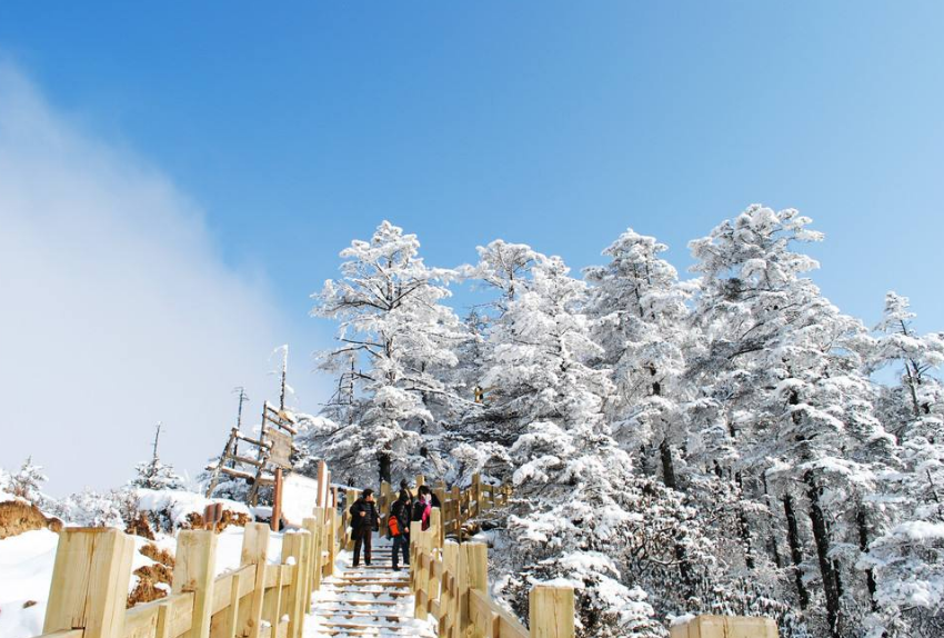 QQ截图20201112110026.png