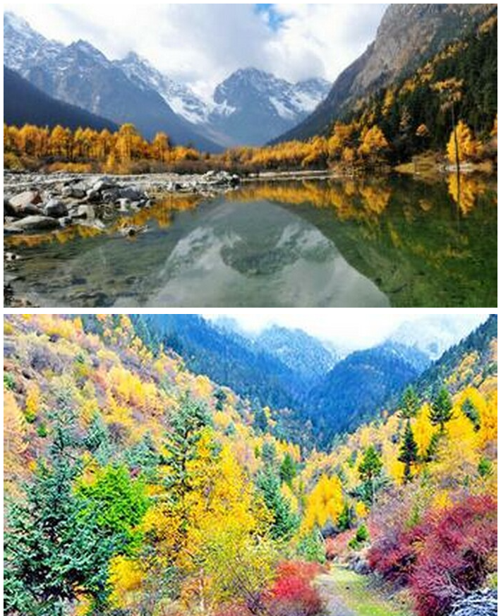 QQ截图20201112155104.png