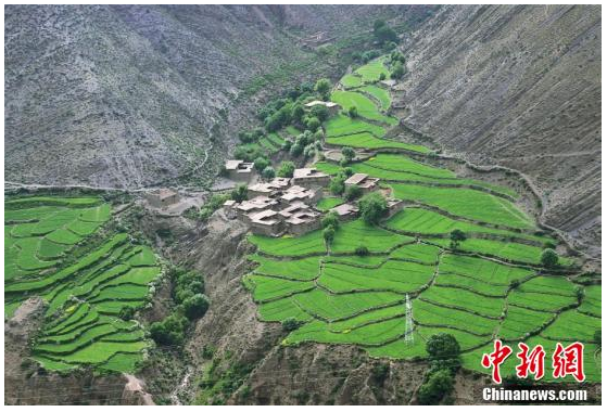 QQ截图20201113145811.png