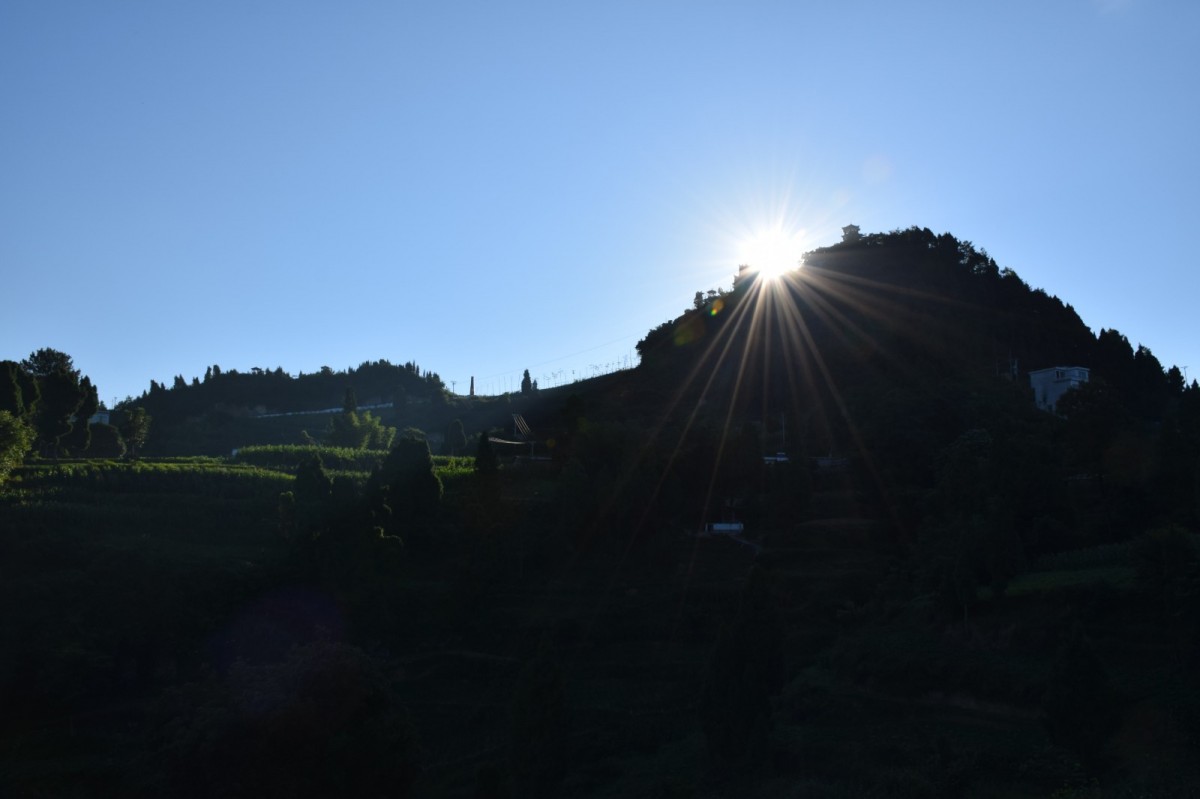 DSC_1286-min.JPG