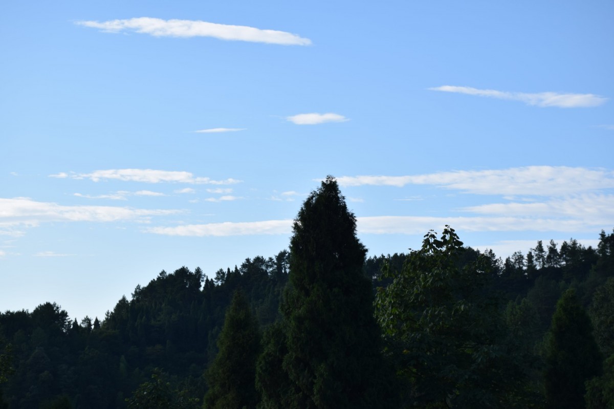 DSC_1463-min.JPG
