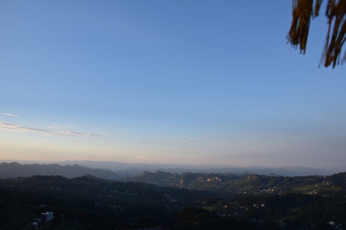 DSC_1536-min.JPG