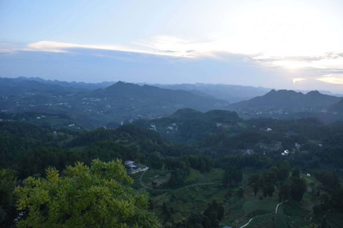DSC_1541-min.JPG