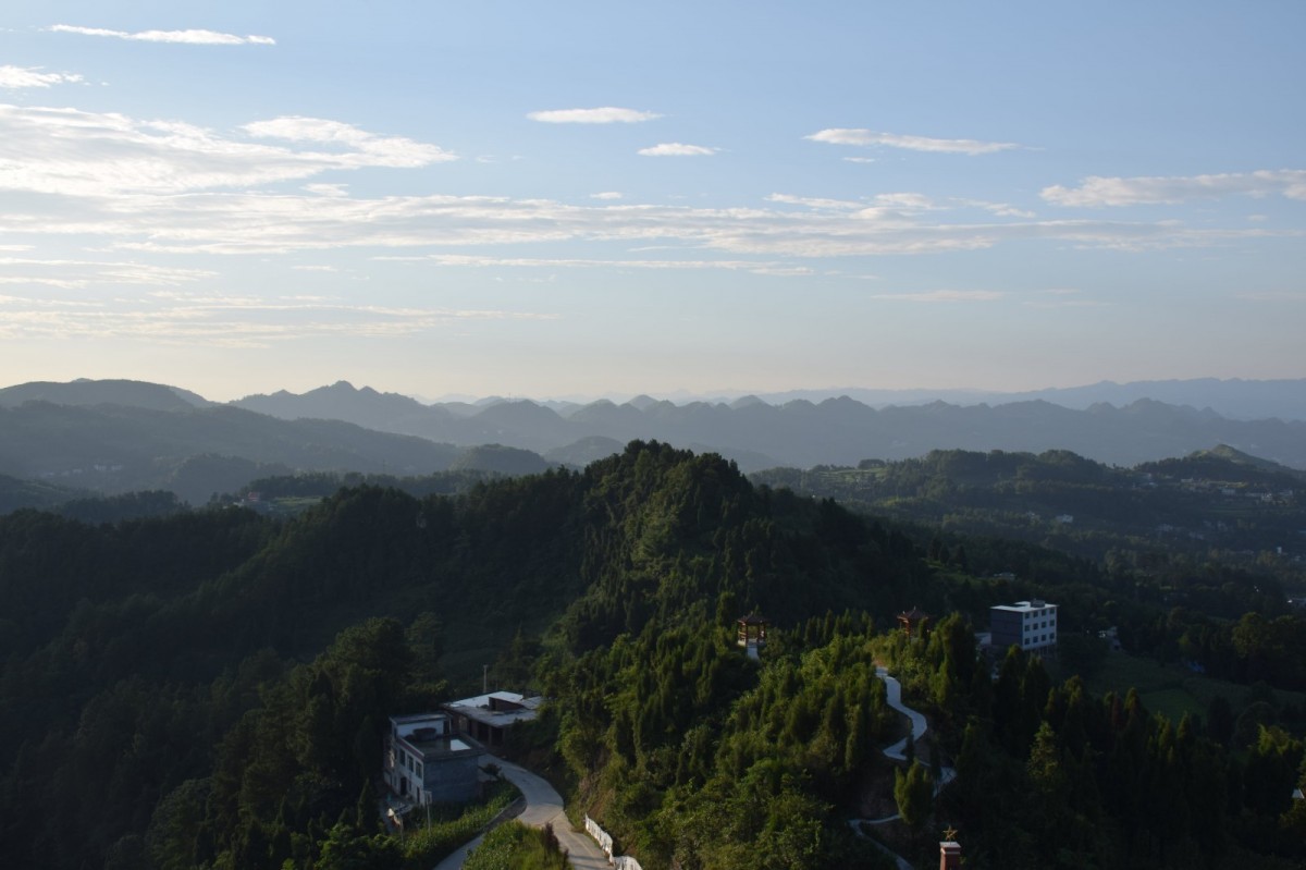 DSC_1491-min.JPG