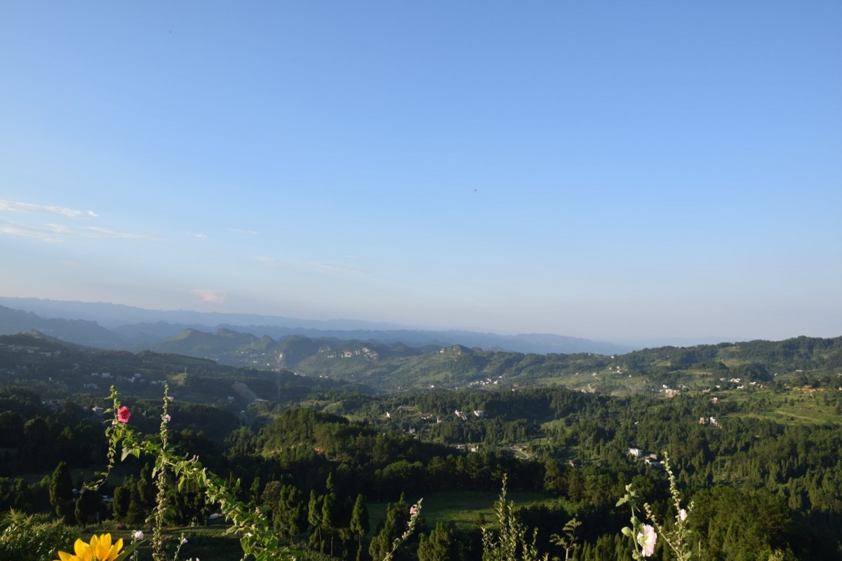 DSC_1511-min.JPG