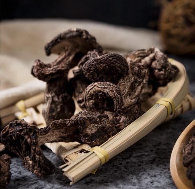 工程材料批发销售服务_批发销售服务_西藏棠湖建筑装饰有限公司