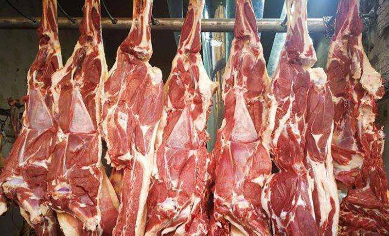 登上宁夏盐池滩的草原，品尝最正宗的羊肉